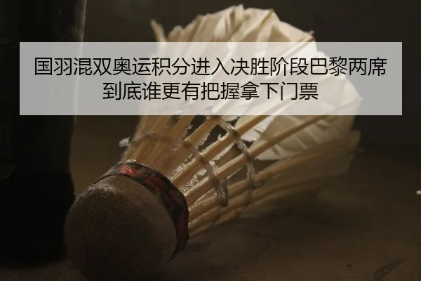 国羽混双奥运积分进入决胜阶段巴黎两席到底谁更有把握拿下门票